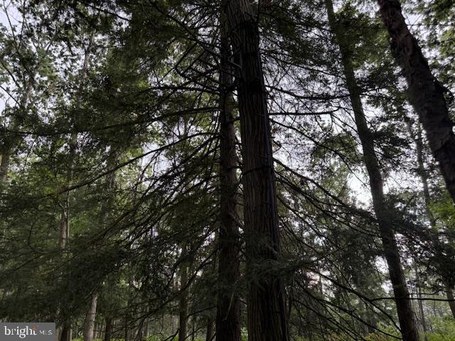 CLEARFIELD BOROUGH - Residential