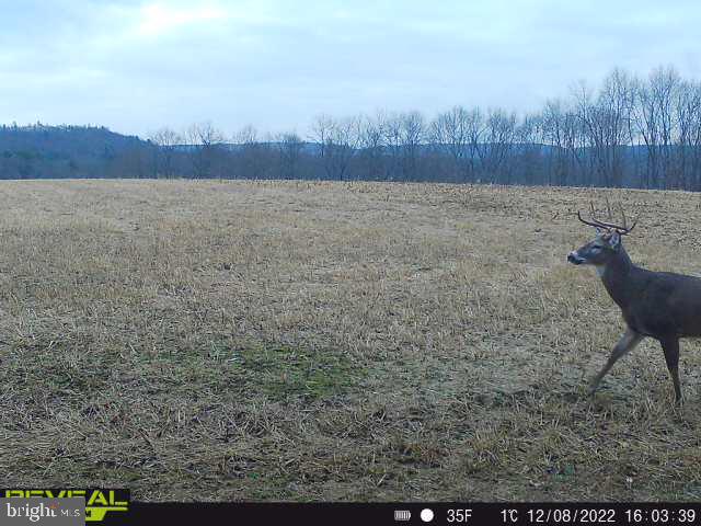 CLEARFIELD BOROUGH - Residential