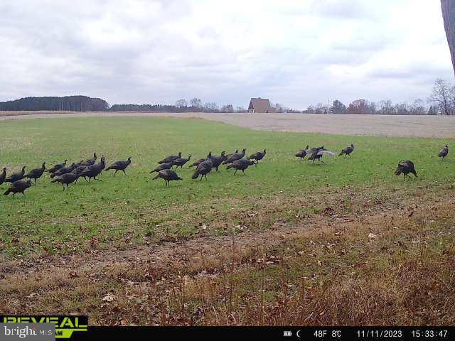 CLEARFIELD BOROUGH - Residential