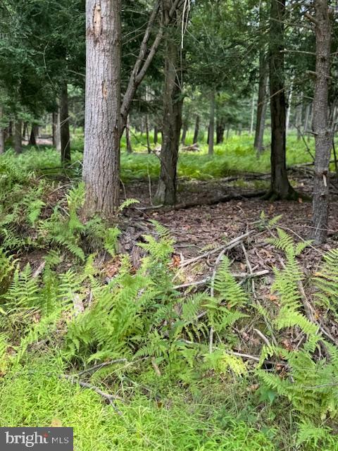 CLEARFIELD BOROUGH - Residential