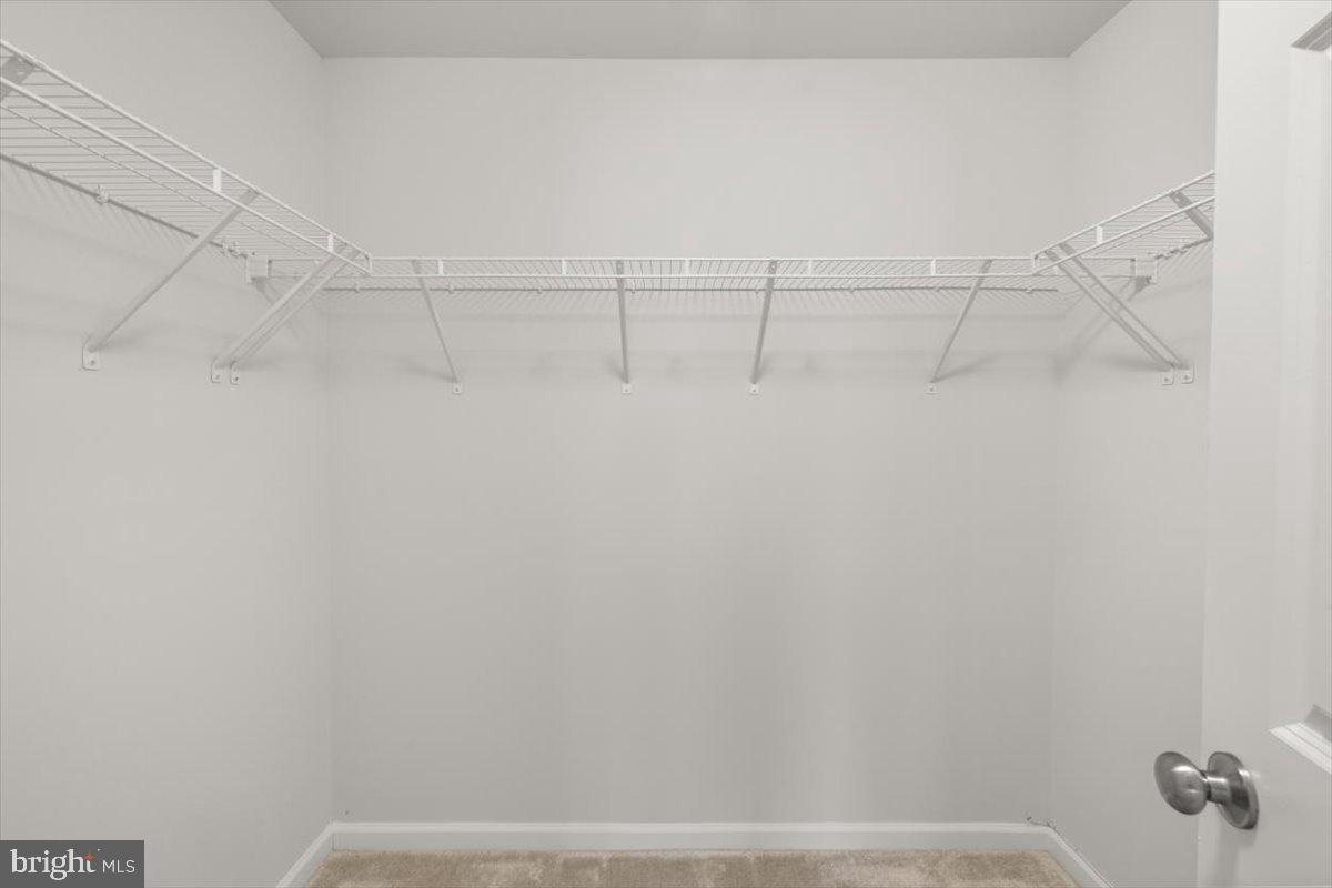 SNOWDEN BRIDGE - Residential Lease