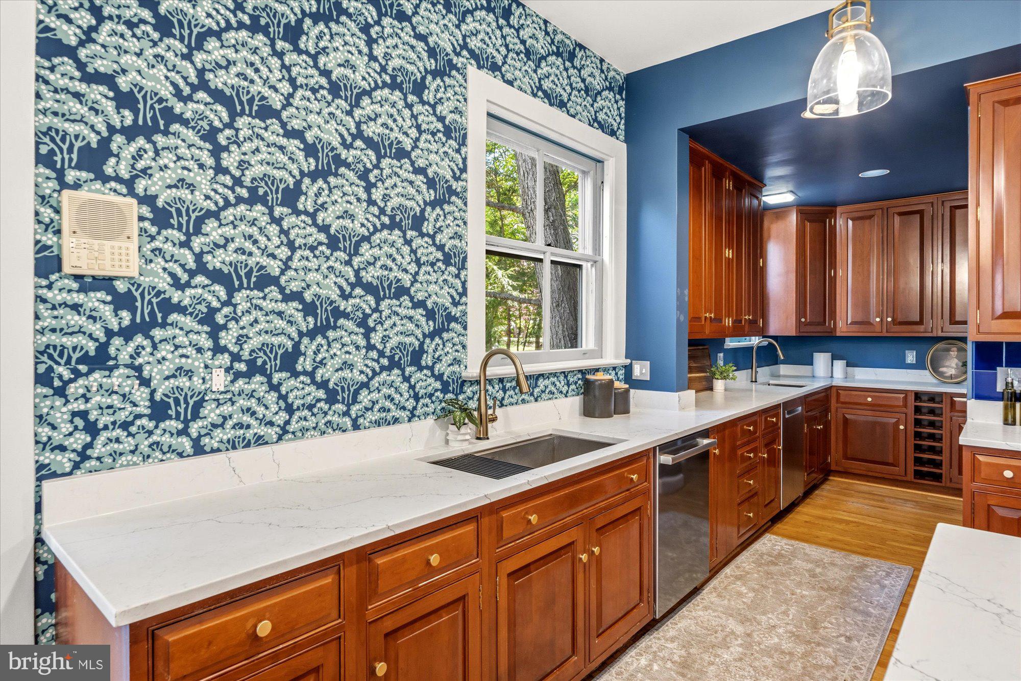 CHEVY CHASE VILLAGE - Residential