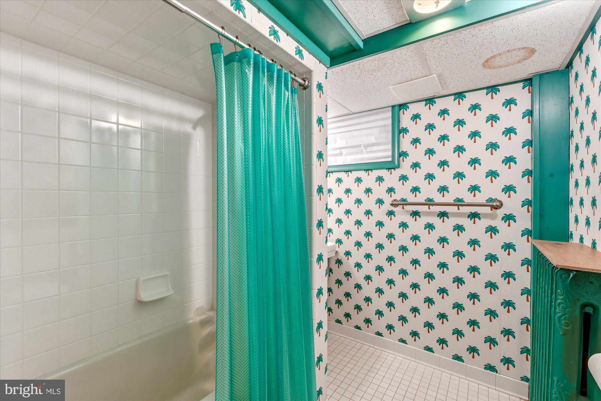 CHEVY CHASE VILLAGE - Residential