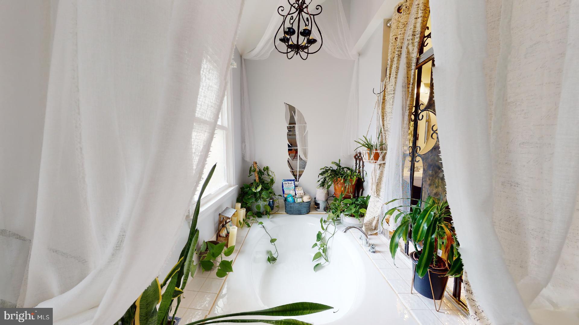 PINECREST - Residential Lease