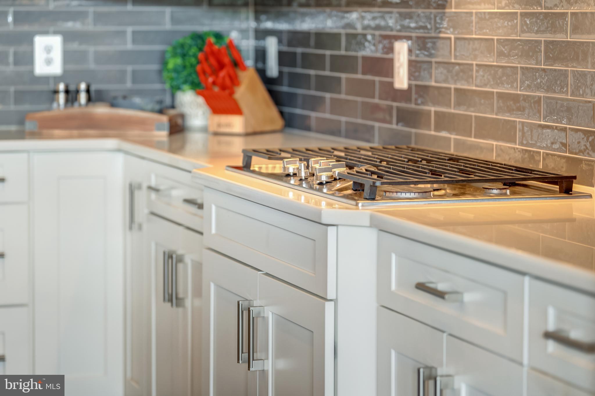 BIRCHWOOD AT BRAMBLETON - Residential