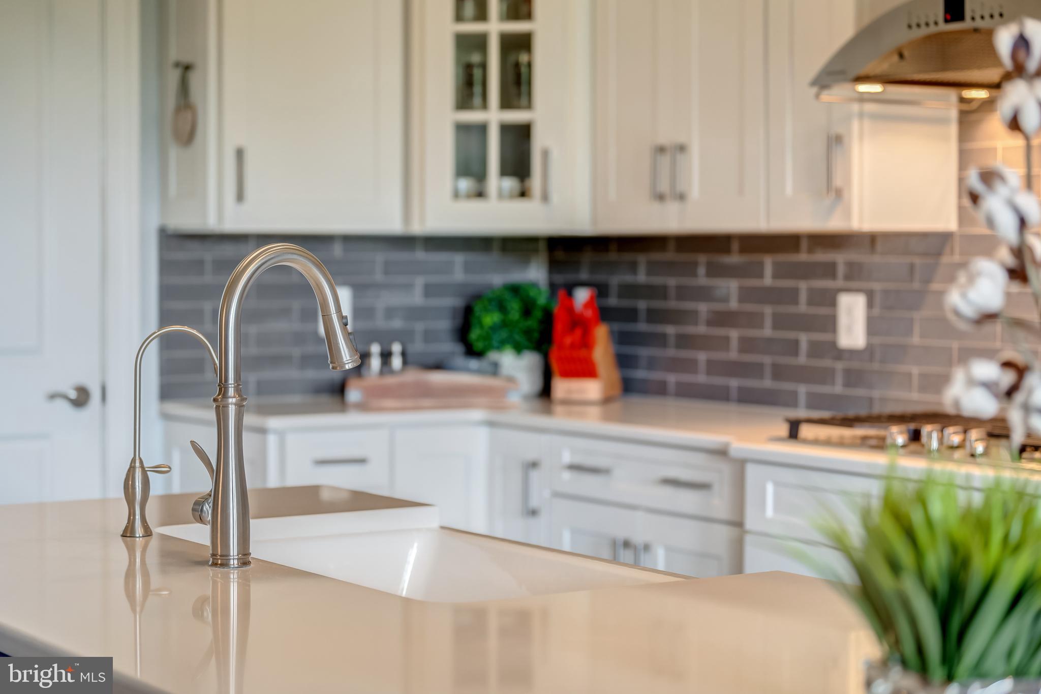 BIRCHWOOD AT BRAMBLETON - Residential