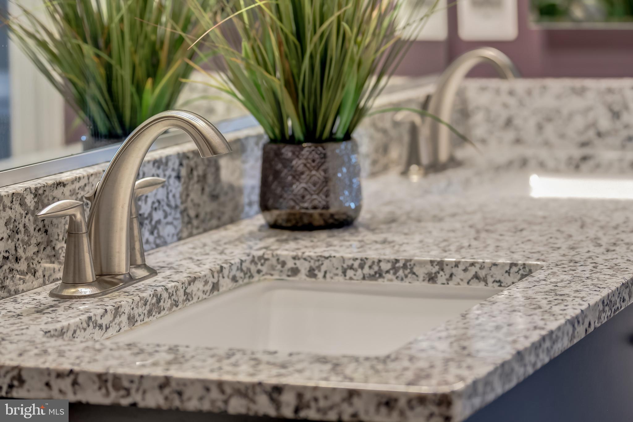 BIRCHWOOD AT BRAMBLETON - Residential