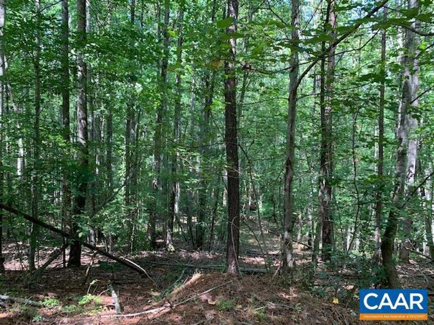 Beautiful 40 ac.+/- tract with stream, abundance of game, great retreat, wooded  ****The mineral rights on the tract are reserved/under lease to Polycor. If the owner is able to release them the price will be 215,000. The owner will also consider financing.
