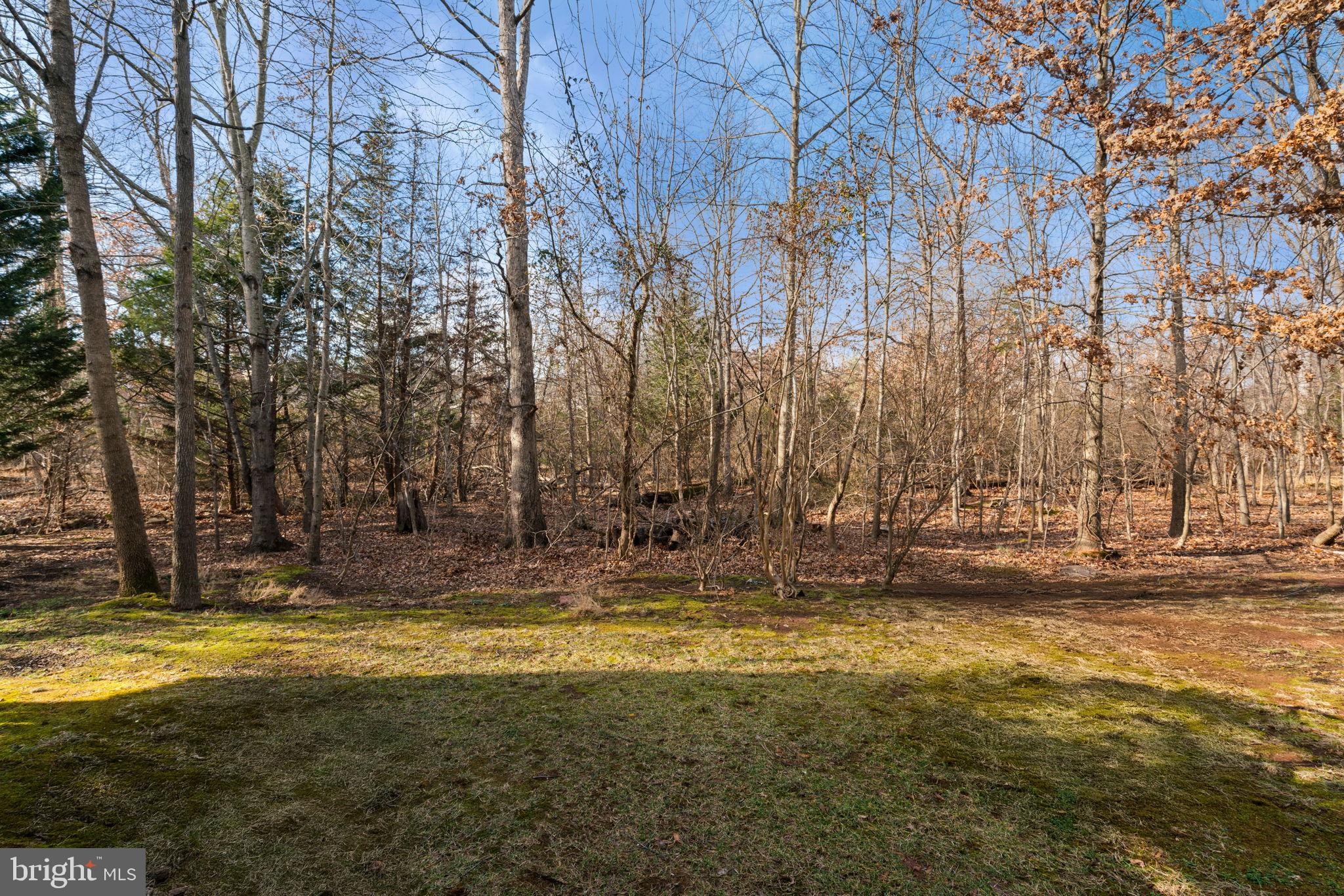 ASHBURN VILLAGE - Residential