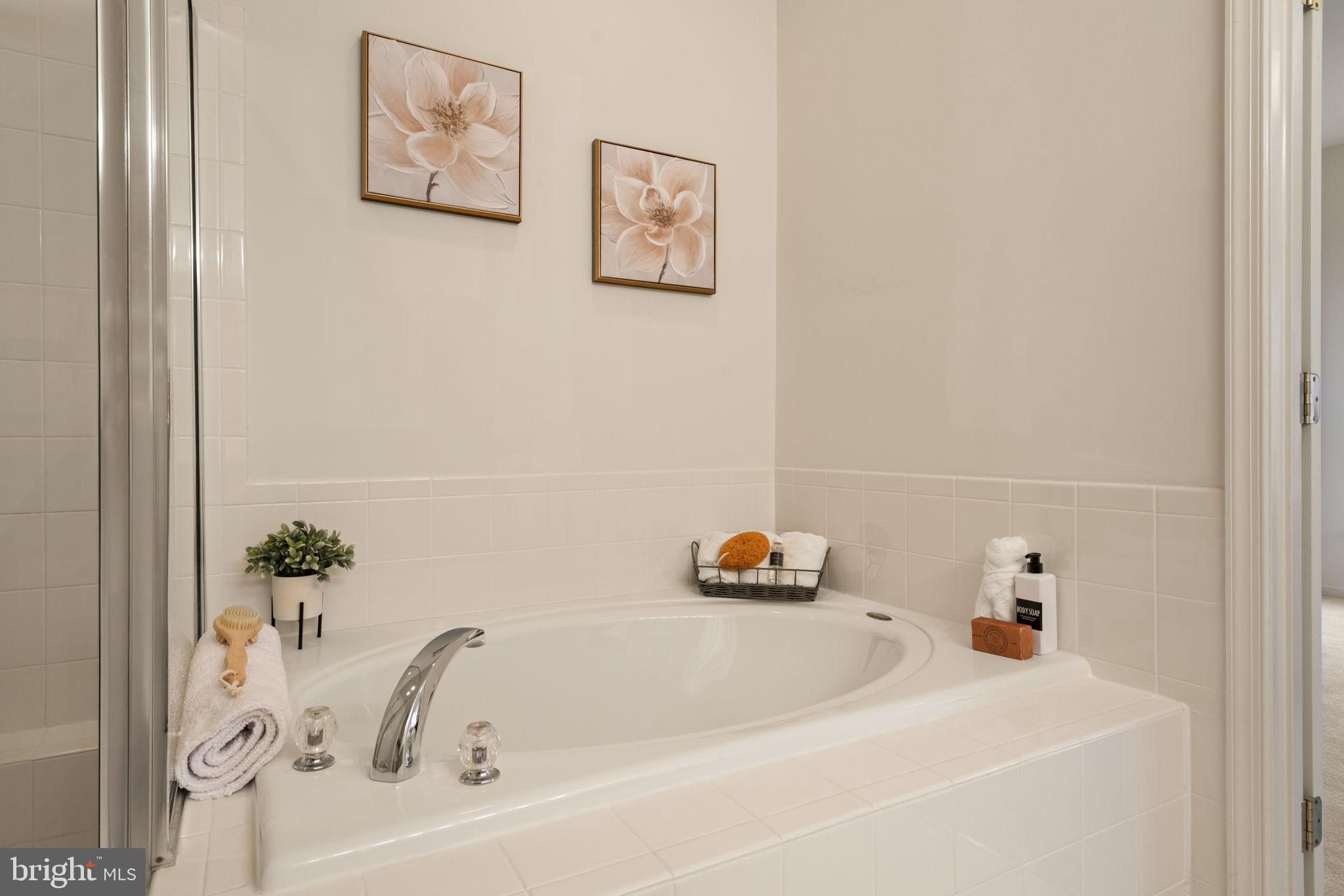 ASHBURN VILLAGE - Residential