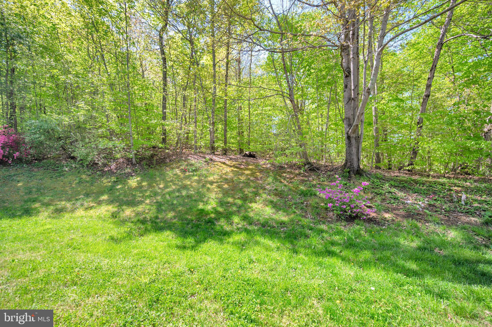 COUNTRY CLUB OVERLOOK - Residential