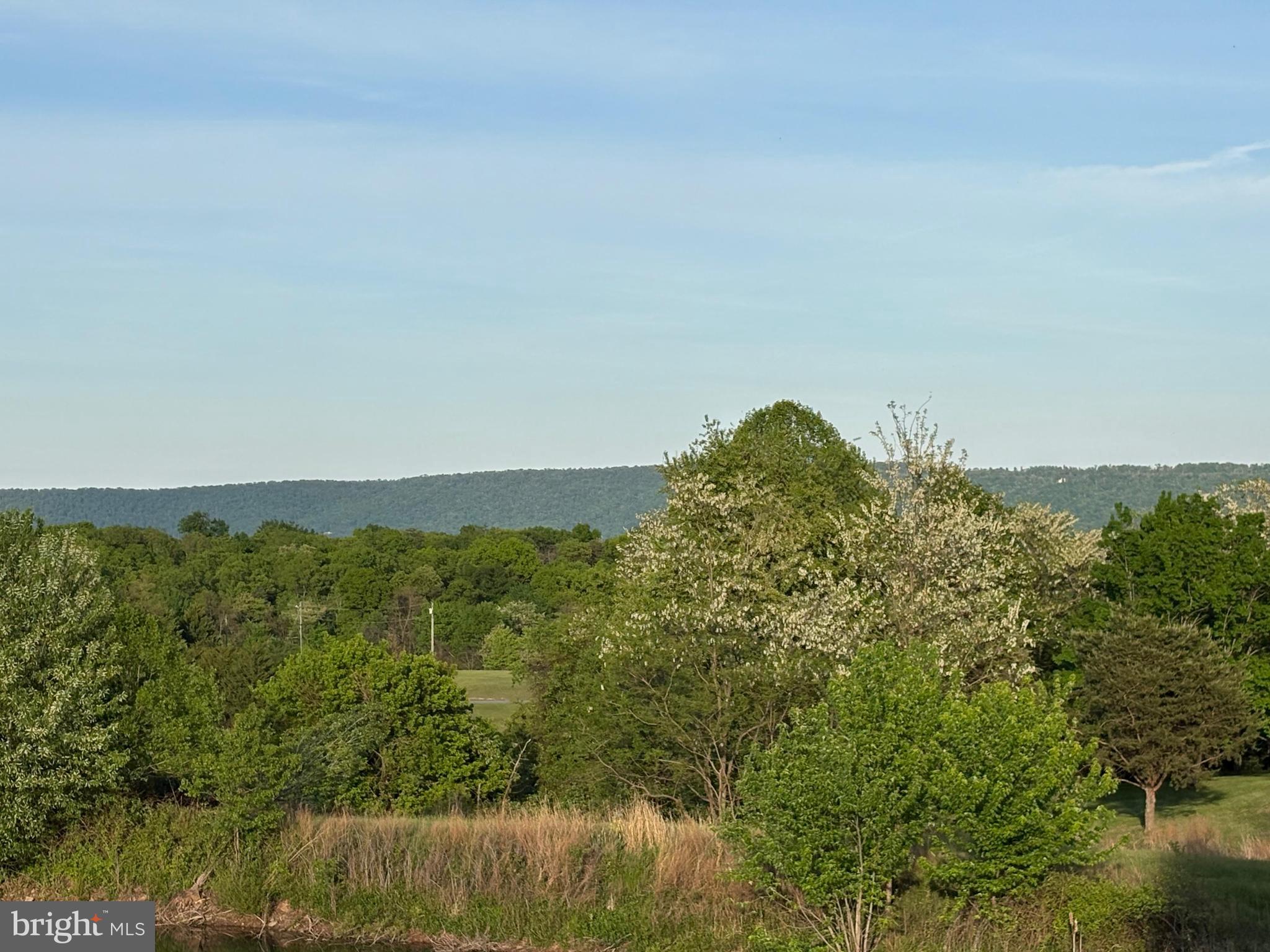 CRESCENT ORCHARDS - Land