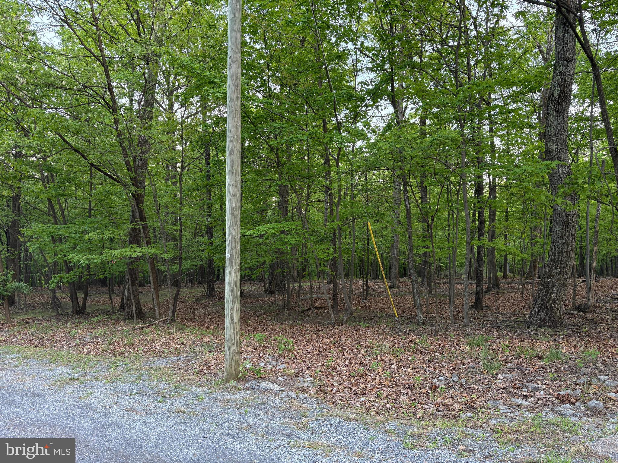 CRESCENT ORCHARDS - Land