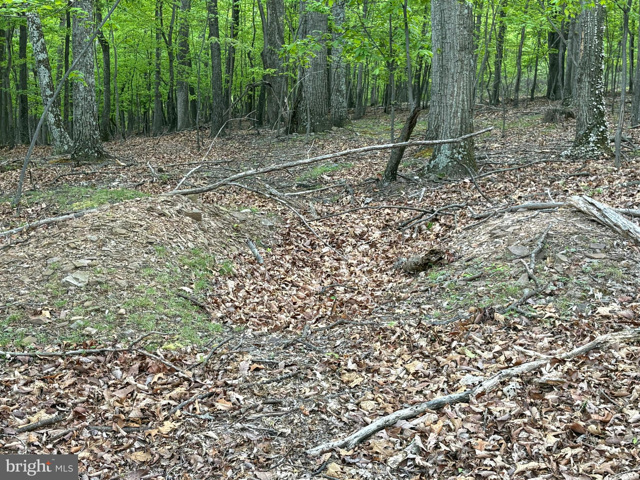 CRESCENT ORCHARDS - Land