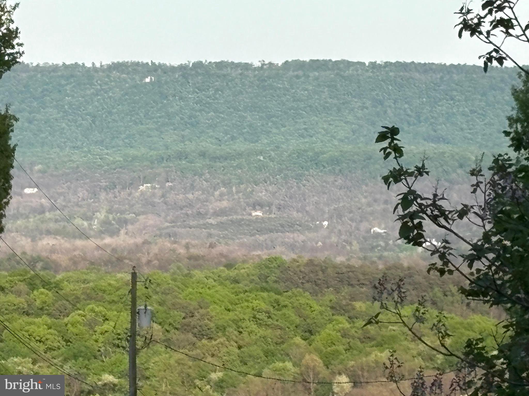 CRESCENT ORCHARDS - Land