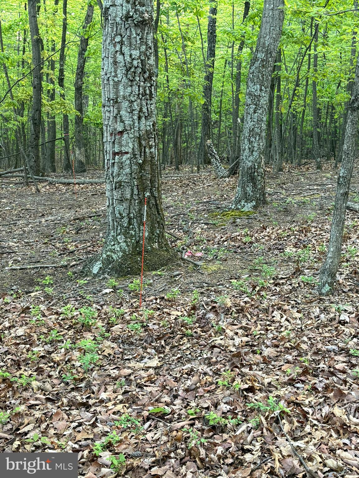 CRESCENT ORCHARDS - Land