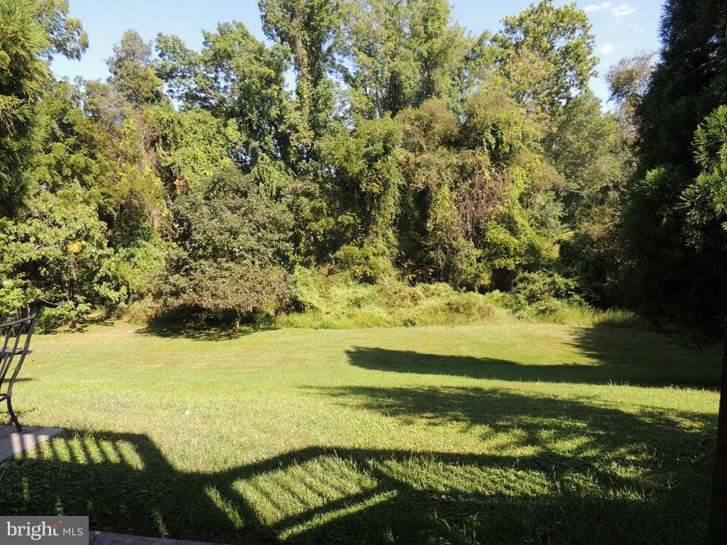 MONMOUTH MEADOWS - Residential