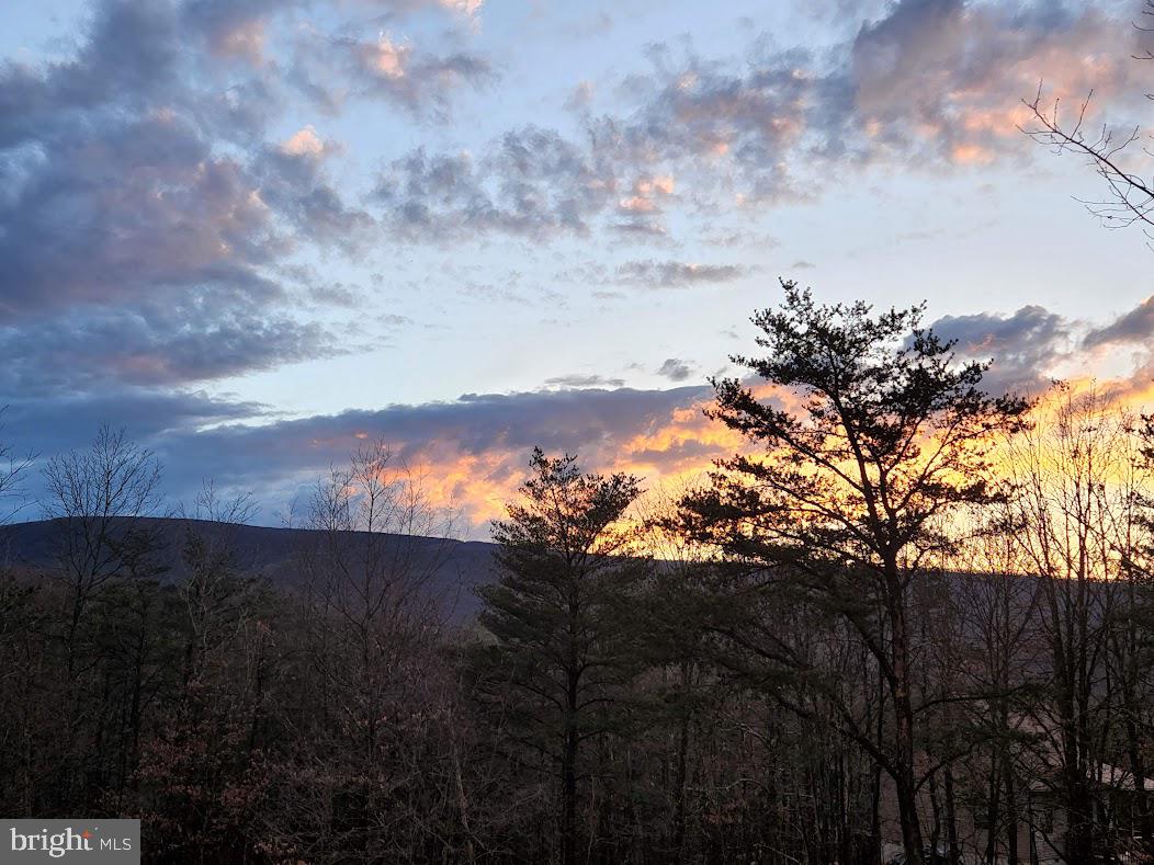 COLONIAL VILLAGE - Residential