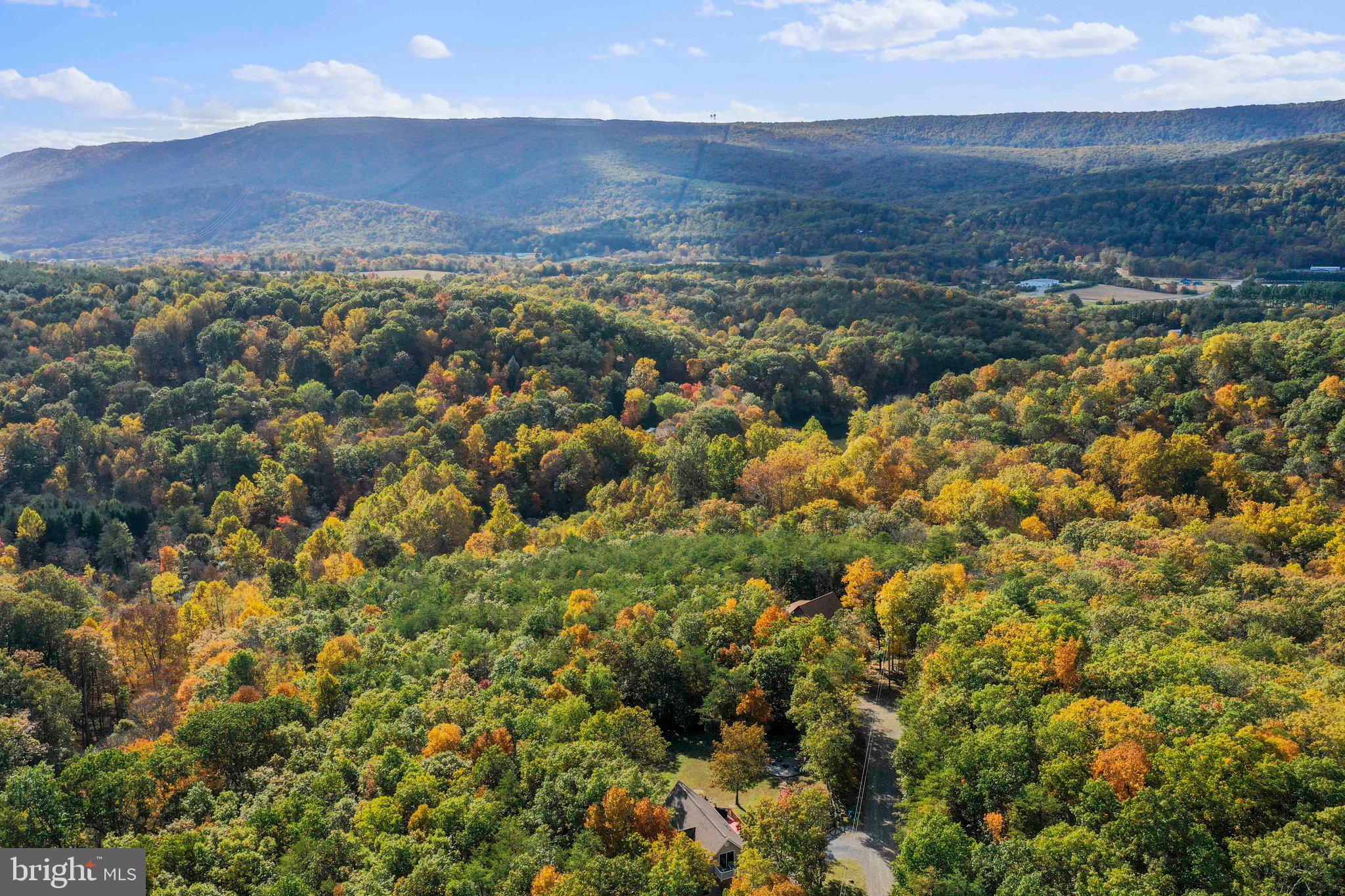COLONIAL VILLAGE - Residential