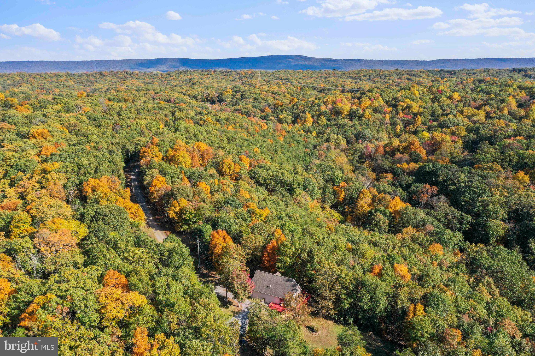 COLONIAL VILLAGE - Residential