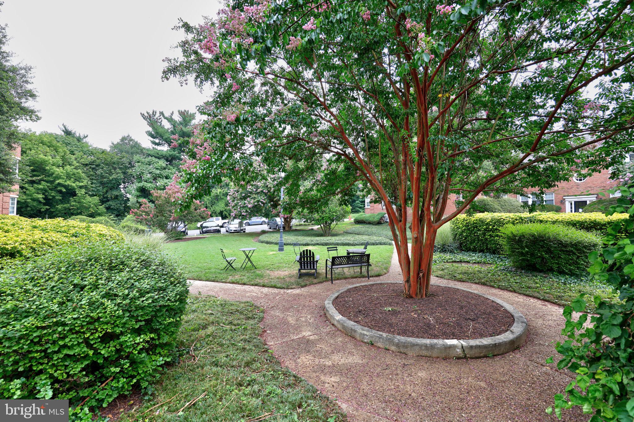 1814 W ABINGDON DRIVE 201