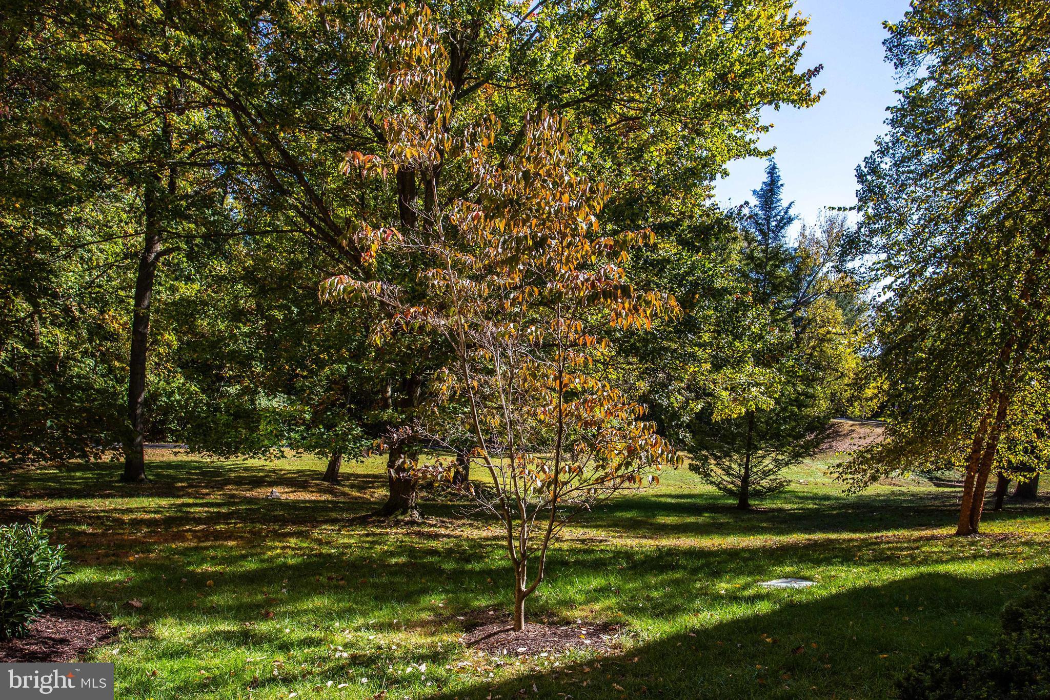 GEORGETOWN VILLAGE - Residential