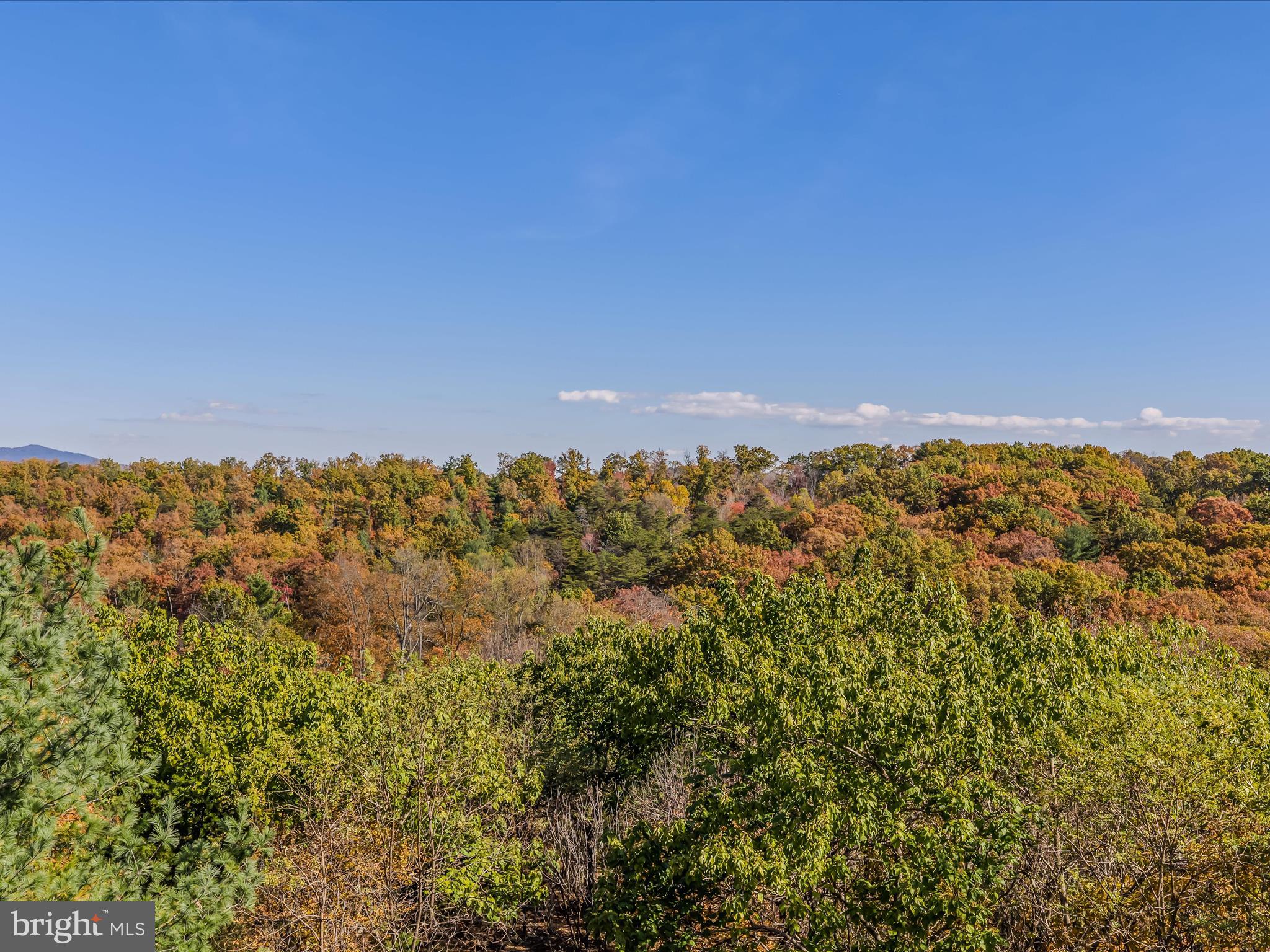 HUNTERS TRACE - Land