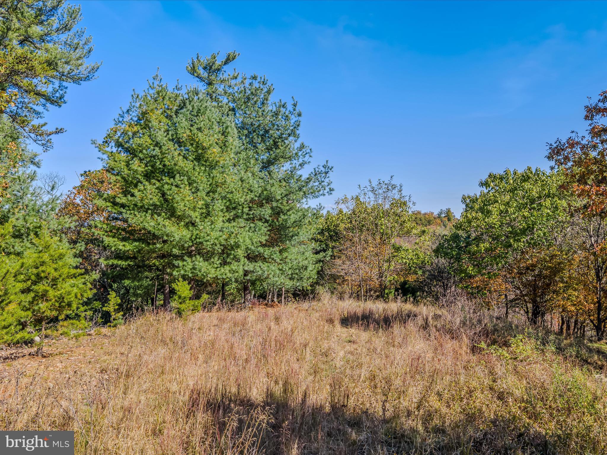 HUNTERS TRACE - Land