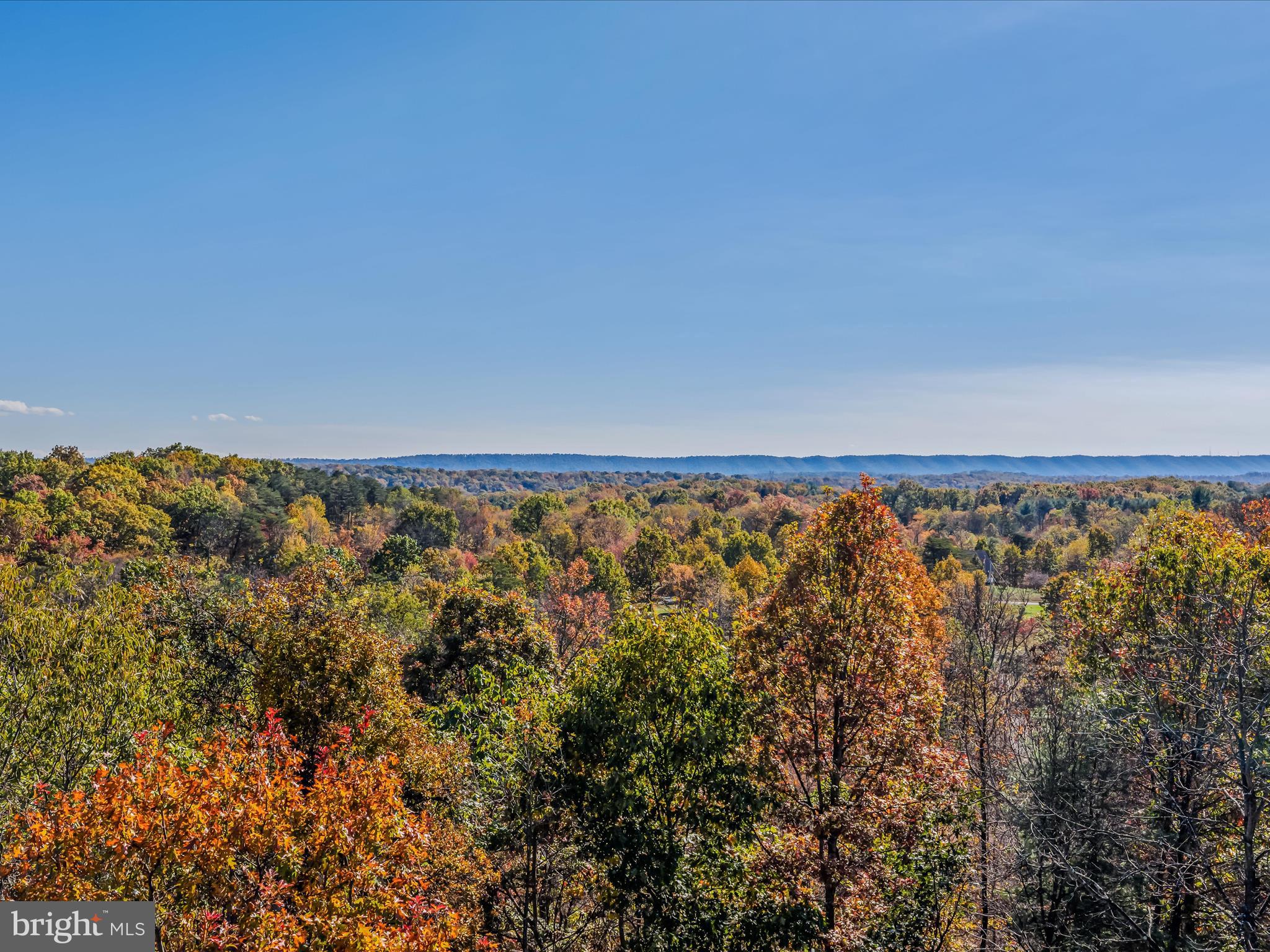 HUNTERS TRACE - Land