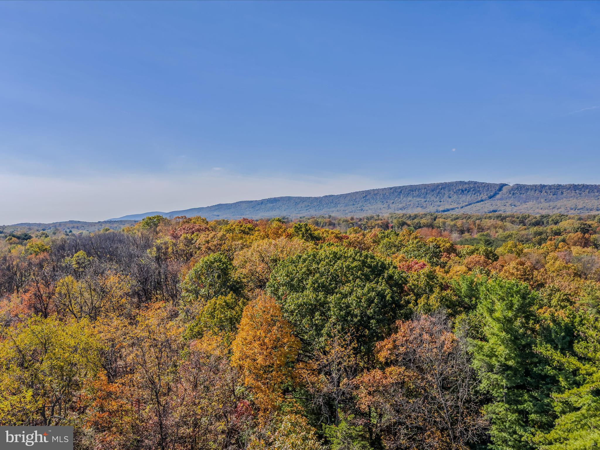 HUNTERS TRACE - Land