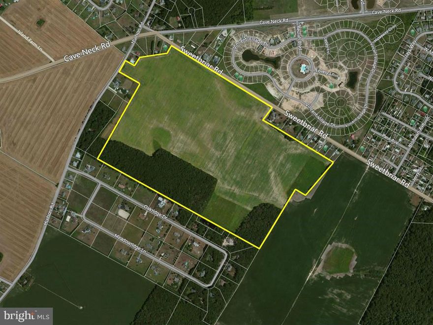 Prime Development Location Along Rt. 88 (Cave Neck Road), Just North Of Red Mill Pond, And Less Than 2 Miles From Rt. 1. Easily Accessible From Rehoboth Beach, Lewes, & Milton.  Total of 135 +/- Acres Zoned AR-1.  Final Purchase Price Shall Be $21,850/Acre Based Upon A Survey Completed At Buyer's Expense. Central Water / Sewer Available.
