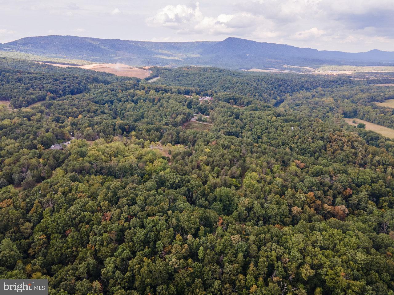 BATTLE CREEK FOREST - Residential