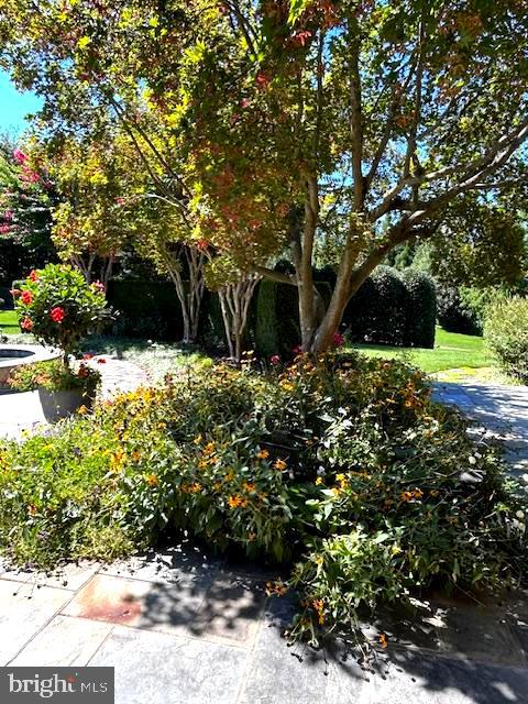 FORESTVILLE - Residential