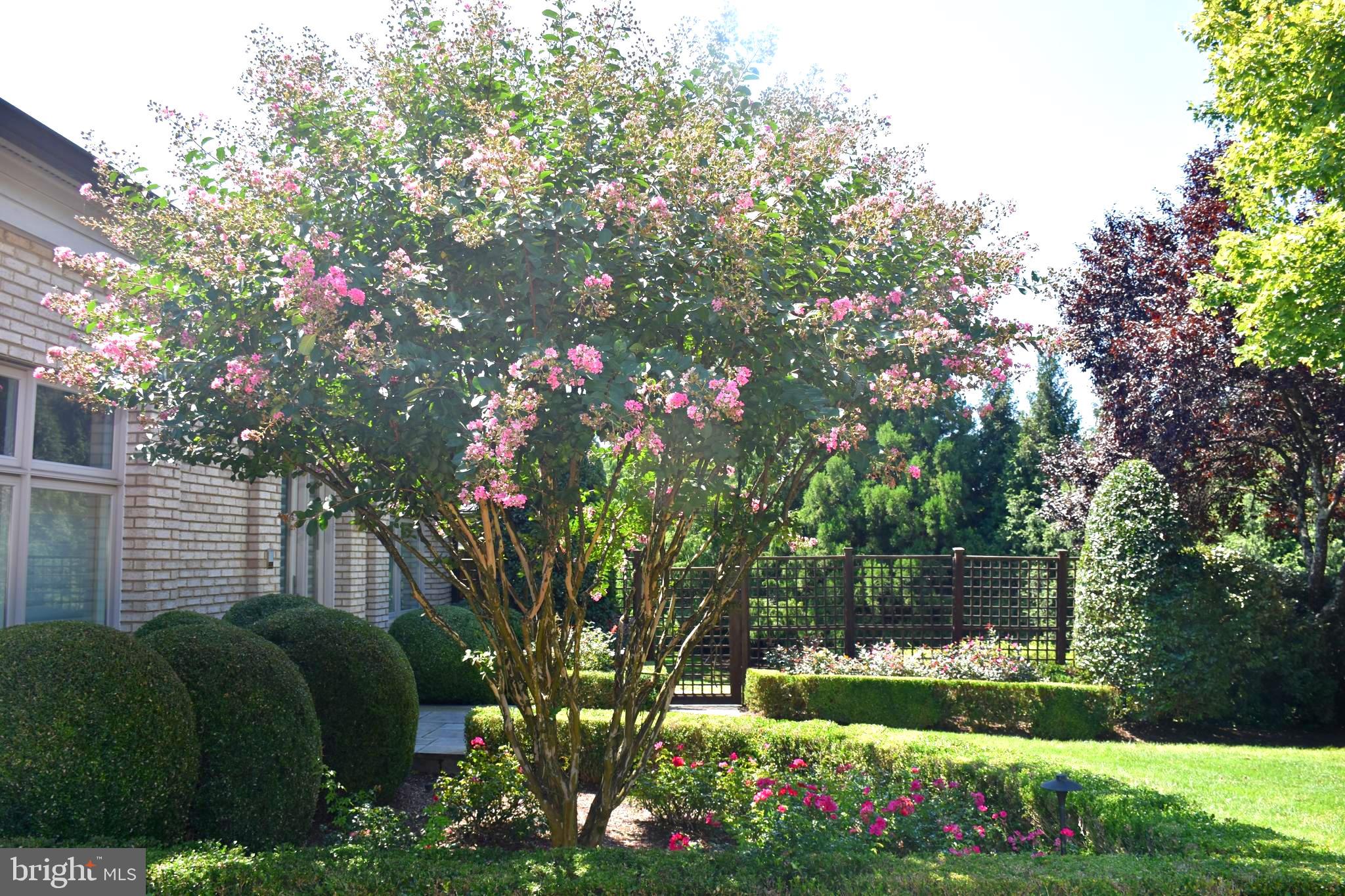 FORESTVILLE - Residential