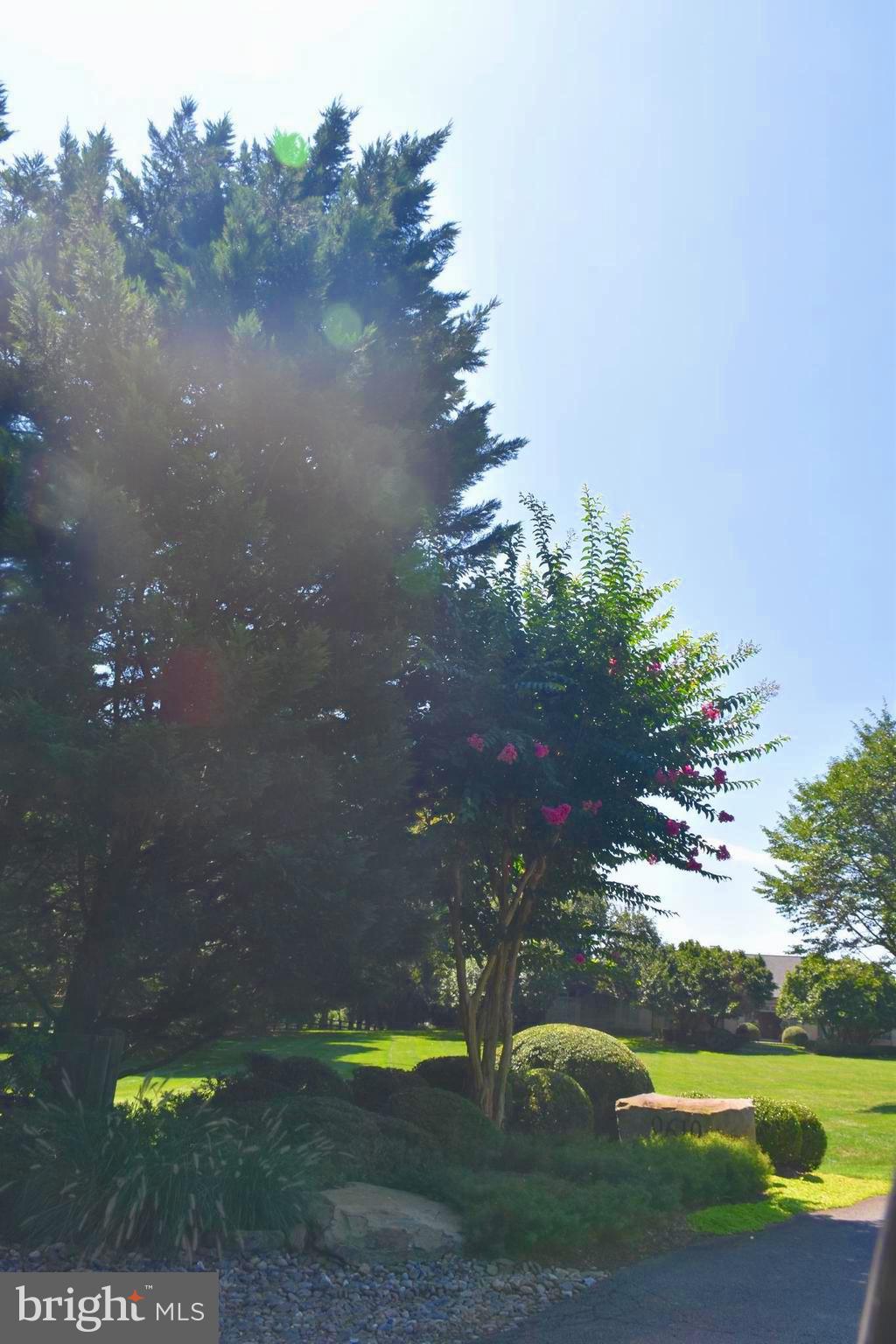 FORESTVILLE - Residential