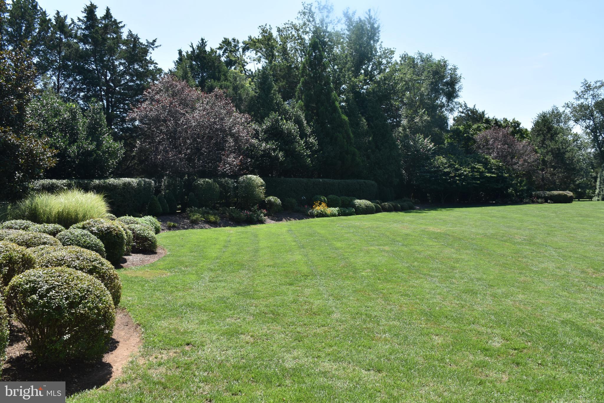 FORESTVILLE - Residential