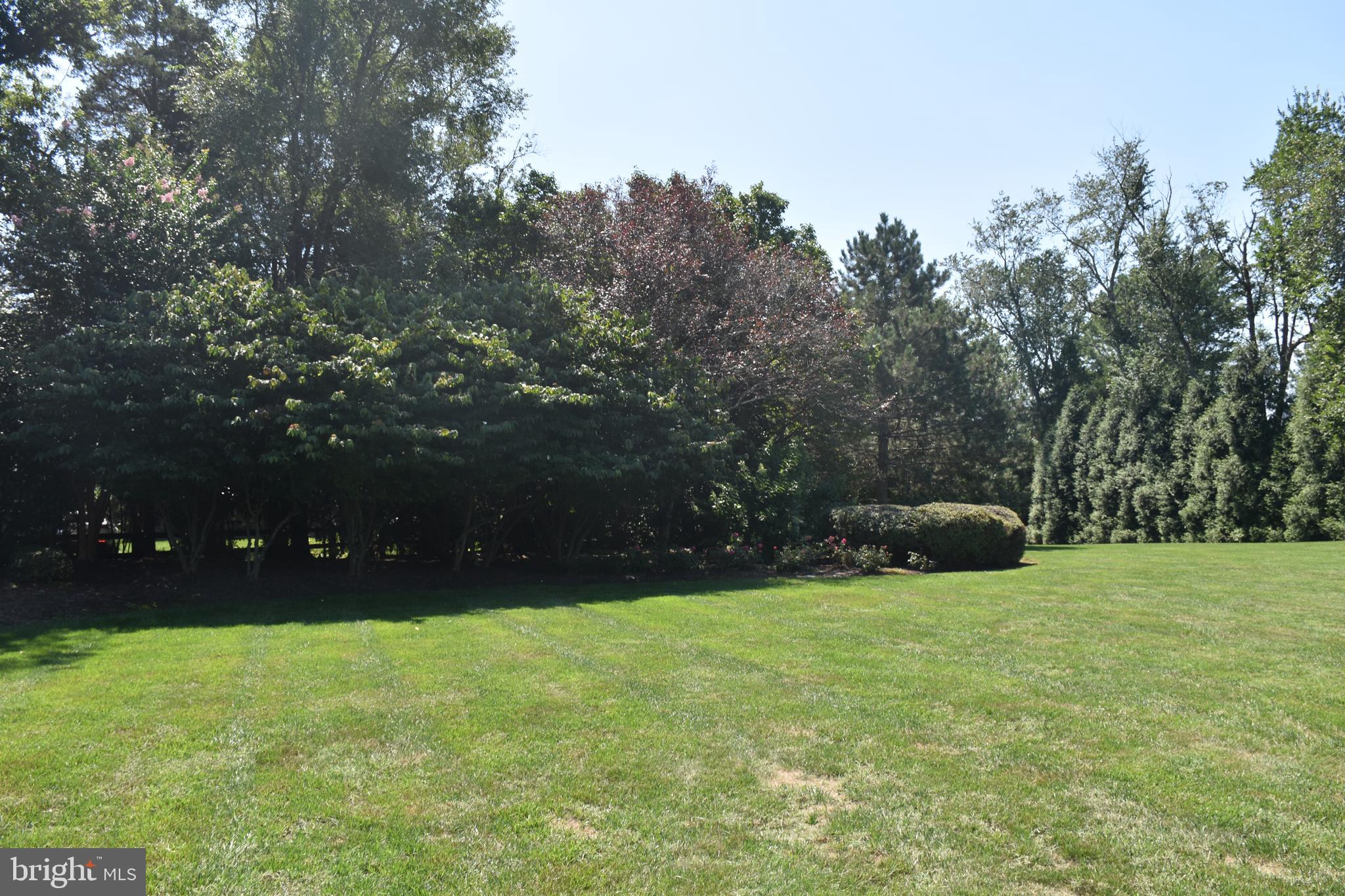 FORESTVILLE - Residential