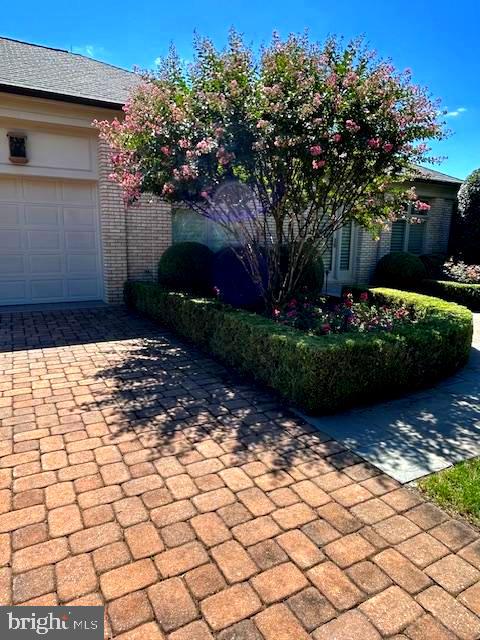 FORESTVILLE - Residential