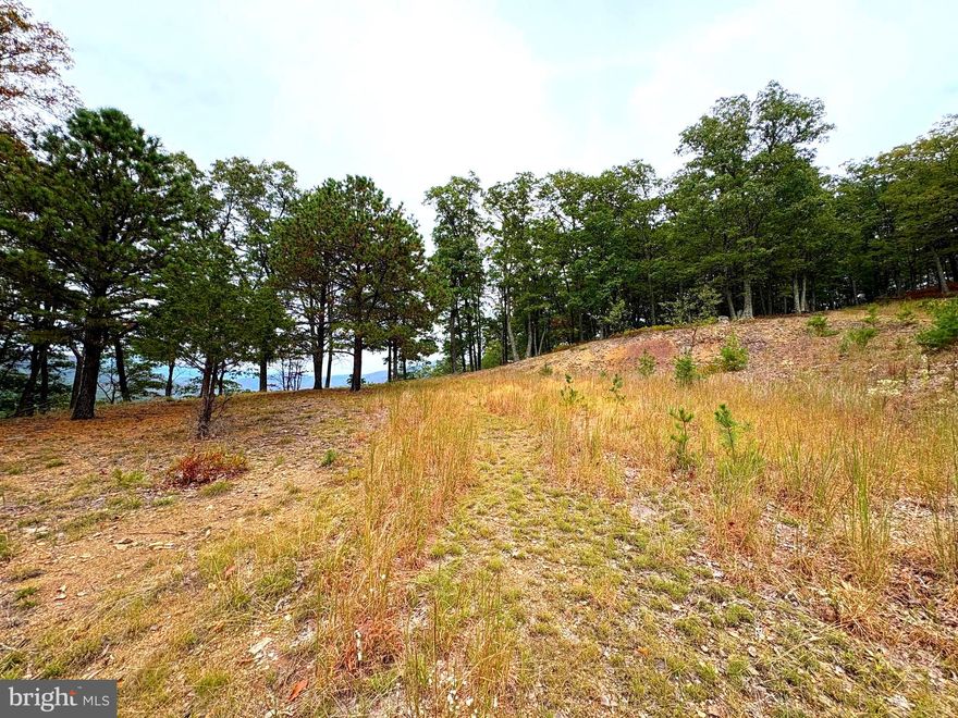 Stop scrolling—this one is different. Just minutes from Moorefield, WV and seconds from Corridor H, this 3.64-acre property delivers what every buyer is chasing: accessibility, jaw-dropping views, and endless recreation. And for out-of-state buyers? Washington, D.C. is less than two hours away—making this the perfect weekend escape or full-time retreat. The property is already a step ahead: a private driveway leads to a cleared building pad overlooking the vast expanse of Clifford Hollow and the grand Appalachian Mountains. This isn’t just another lot—it’s a rare vantage point that commands attention, offering a ready-made site for your dream home or mountain getaway. Recreation is right at your doorstep. Float, fish, and kayak the South Branch of the Potomac, or explore thousands of acres of the George Washington National Forest for hunting, hiking, and adventure. This property isn’t just a place to live—it’s a basecamp for everything the West Virginia outdoors has to offer. With its unbeatable location, easy access, and one of the most striking views in the county, this property won’t last. If you’ve been waiting for the right piece of land, this is it. Act now—parcels like this don’t come around twice.