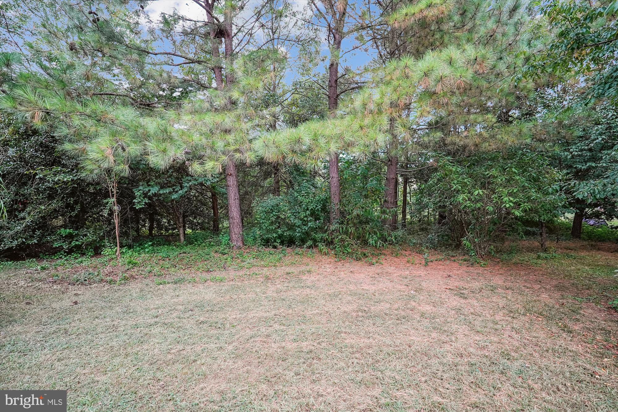 11688 CAMP JONES COURT