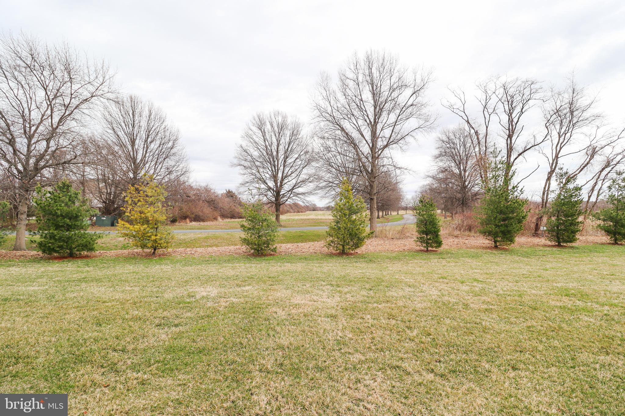 QUEEN ANNES COUNTY - Residential