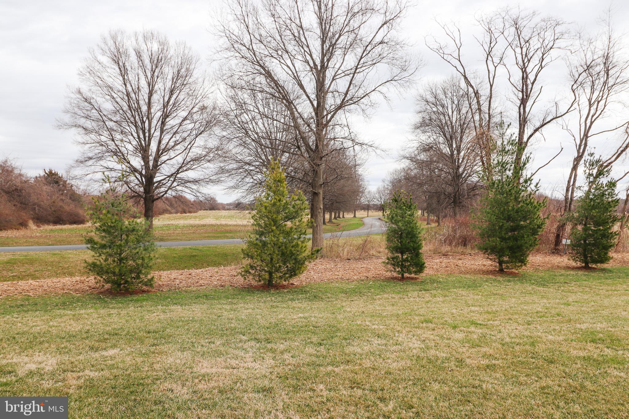 QUEEN ANNES COUNTY - Residential