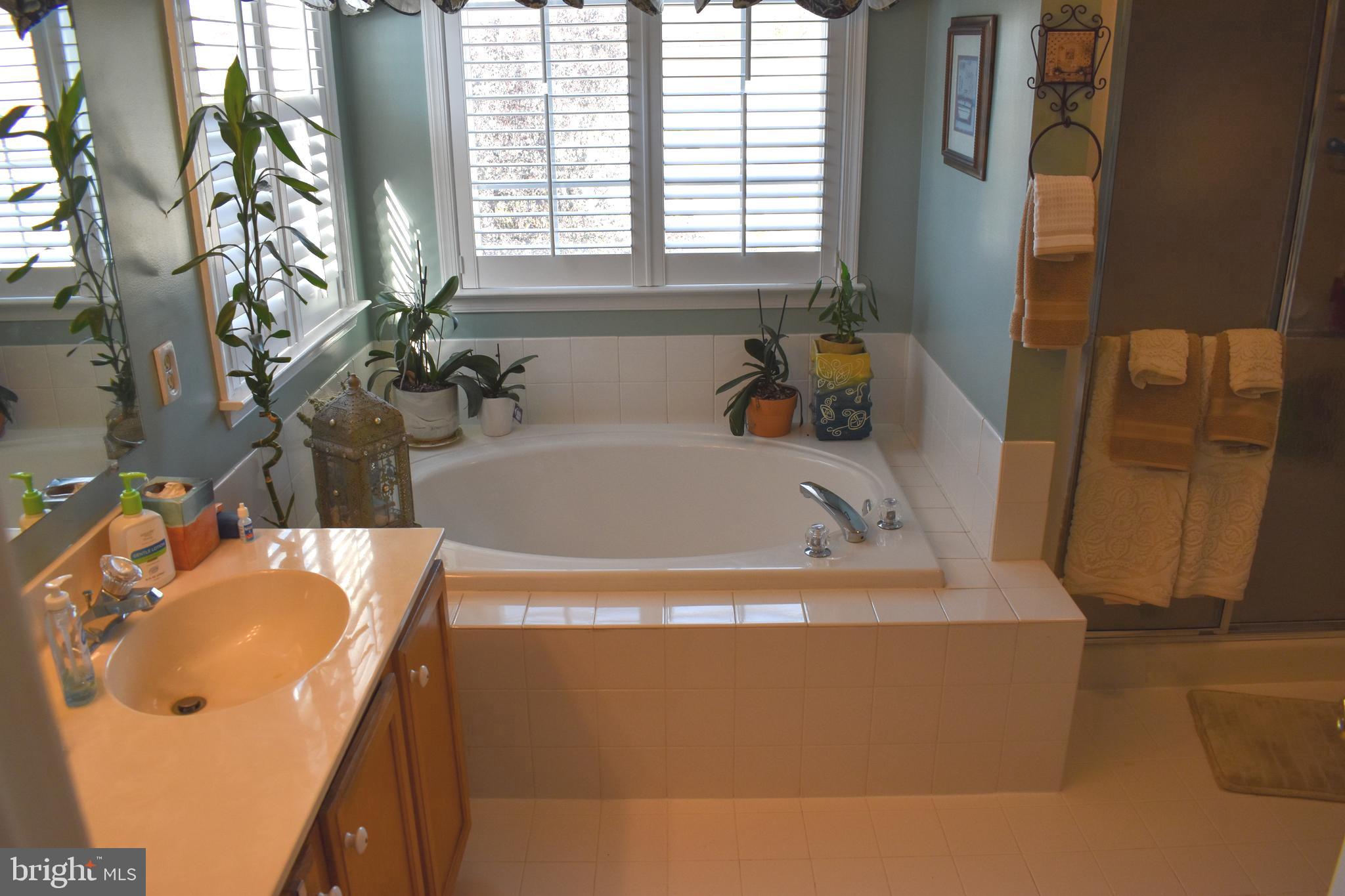 HILLS AT BETHEL - Residential