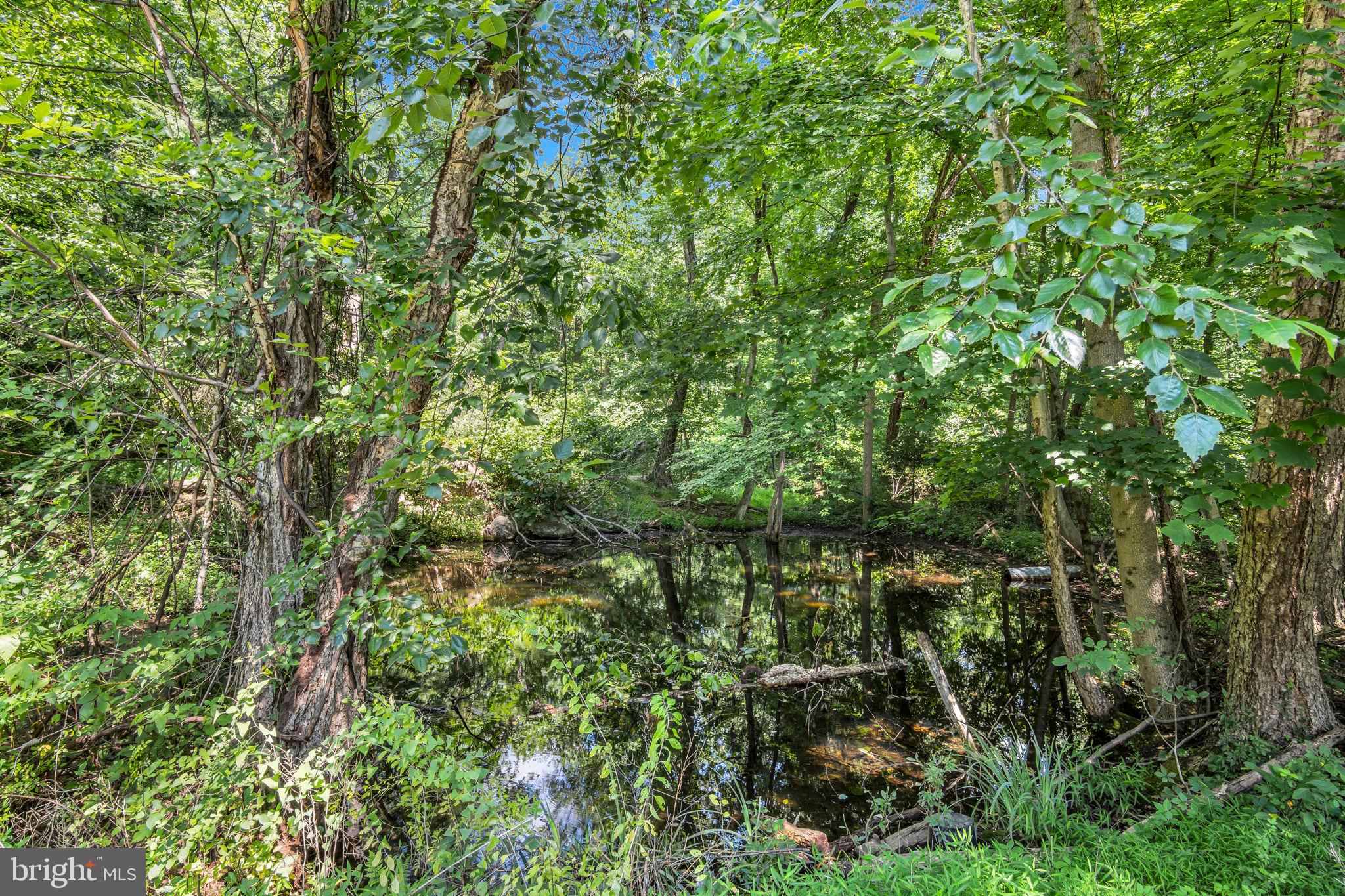 1831 MILLER RD EXTENSION
