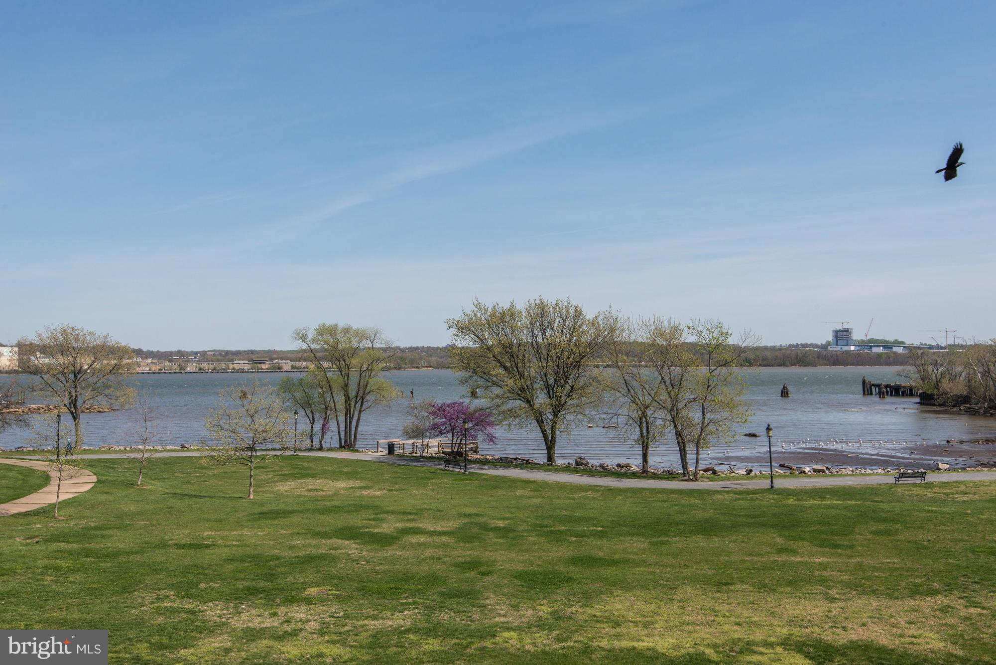 THE ORONOCO - Residential