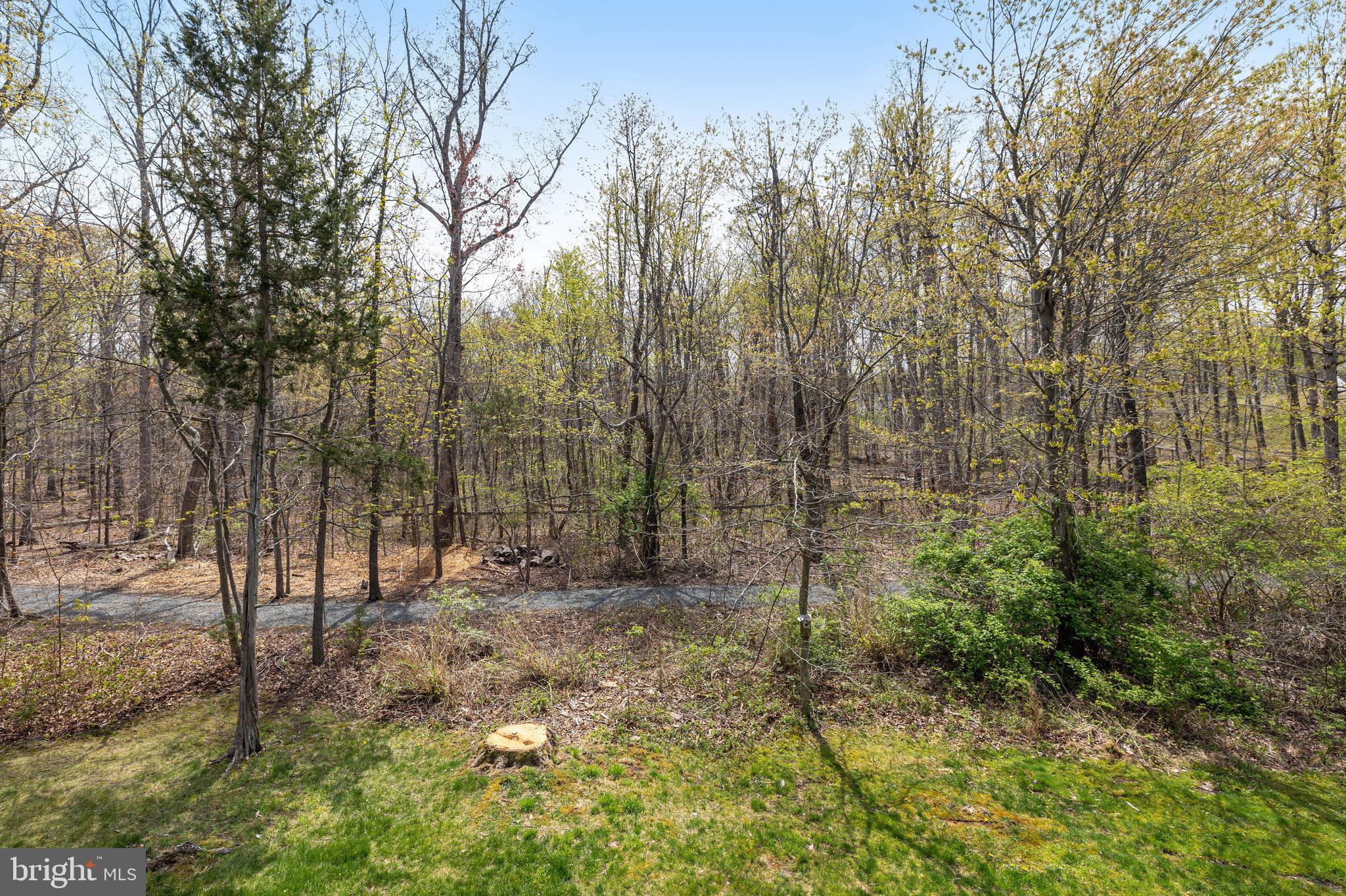 11307 BULOVA LANE