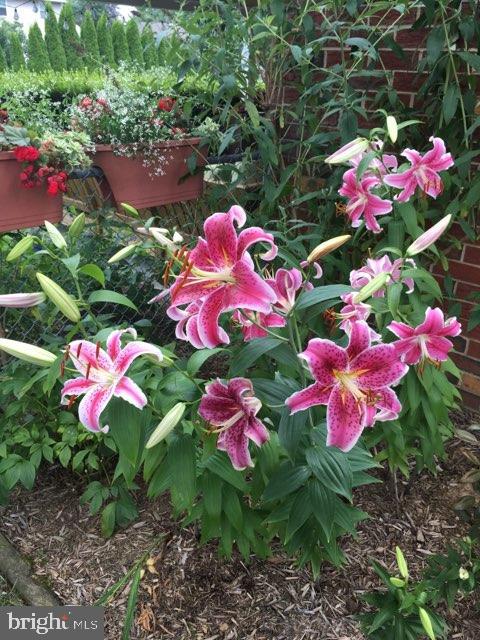 CAMELOT - Residential