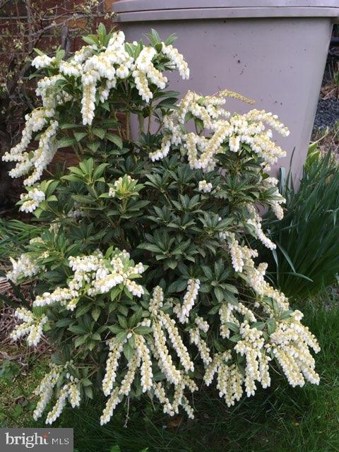 CAMELOT - Residential