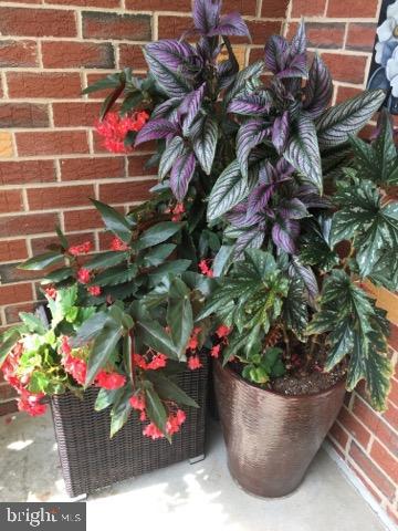 CAMELOT - Residential