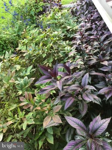 CAMELOT - Residential